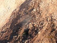 IMG_7551.jpg, 39kB